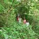 25- Les explorateurs dans la foret vierge 